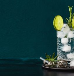 GIN TONIC PREMIUM ZONE